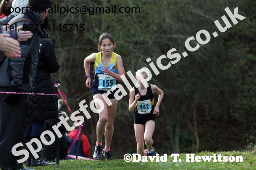 Girls under-15s 2017 Start Fitness North Eastern Harrier League, Aykley Heads, Durham. Photo:  David T. Hewitson/Sports for All Pics